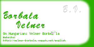 borbala velner business card